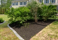 Mulching 3