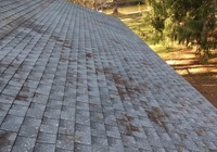 Roof And Pathway Shoveling