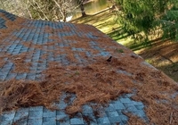 Roof1