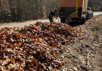 Fall Cleanup 1