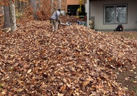 Fall Cleanup 2