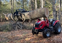 Tree And Brush Removal